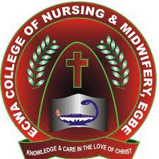 ECWA School of Nursing Post Basic Nursing Admission Form