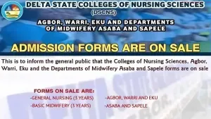 Delta Colleges of Nursing  Midwifery Admission